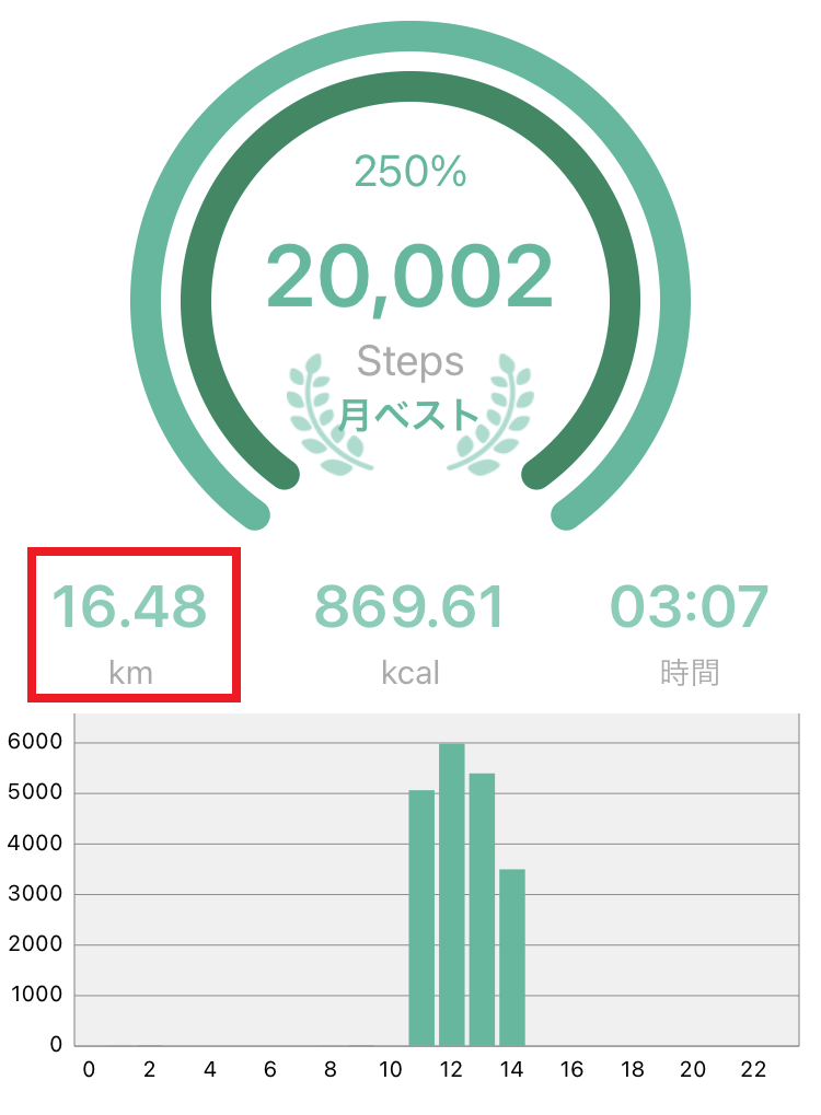歩きすぎ どれくらい？